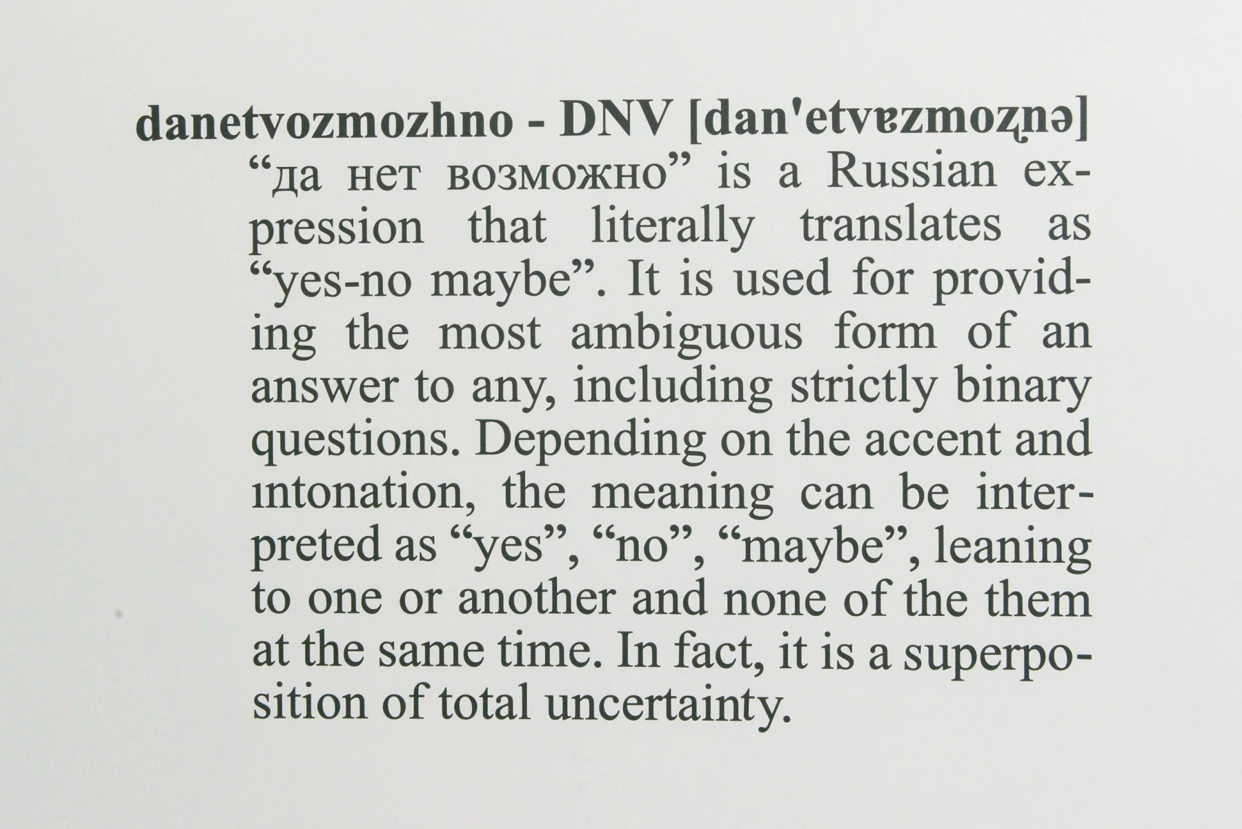 "DNV [dan'etvɐzmoʐnə]" (with Caroline Carrion), vinyl print, 2016