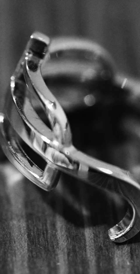 "Audentes fortuna iuvat", .925 sterling silver, 2013