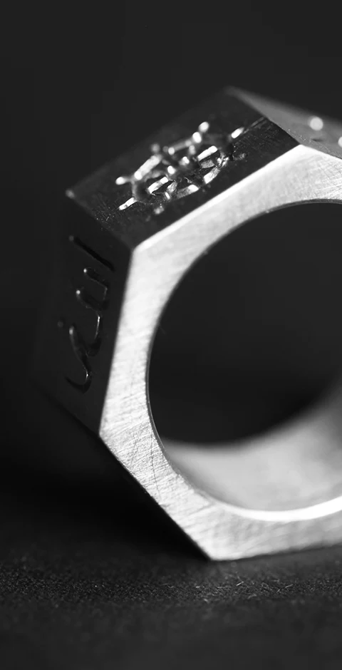 "Coexistentia I", .925 sterling silver, 2013